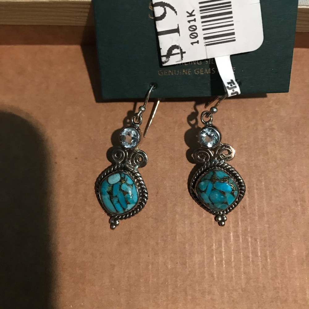 NWT💙 Blue & Silver earrings